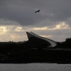 P8284771