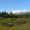 P8314819