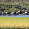 P8314884