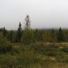 P9014915