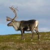P9025017
