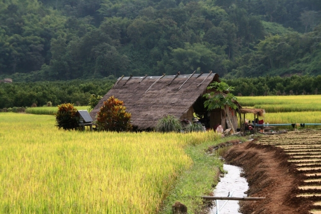 Thailand_02_38.jpg