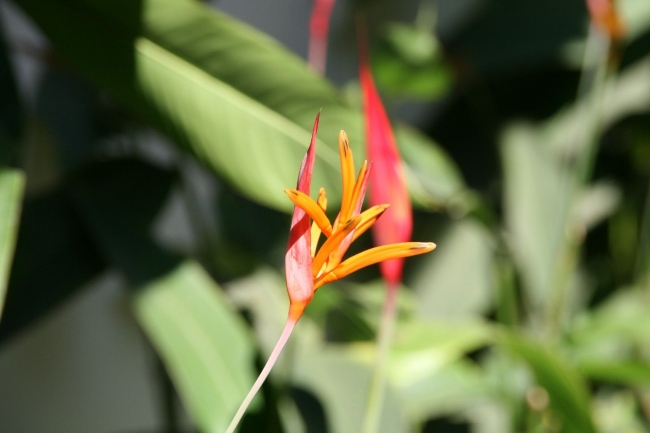 Thailand_03_02.jpg