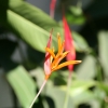 Thailand_03_02.jpg