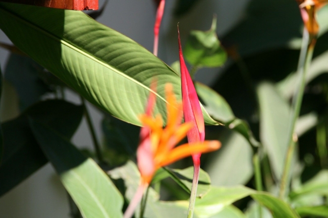Thailand_03_03.jpg
