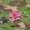 Thailand_03_34.jpg