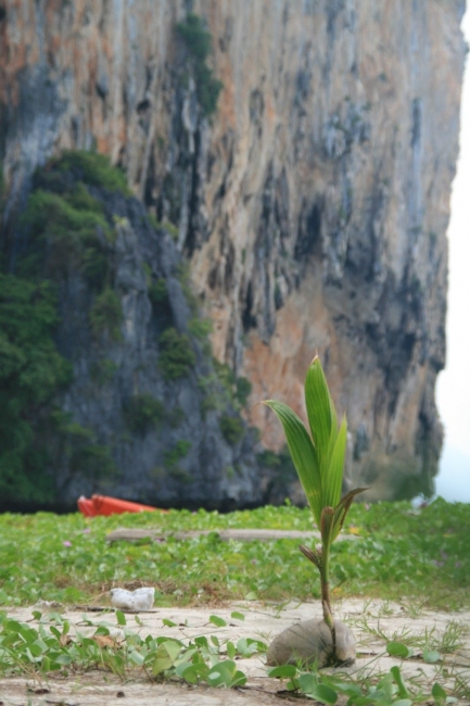 Thailand_05_07.jpg