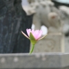 Thailand_06_11.jpg