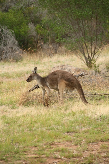 arapiles_23