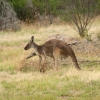 arapiles_23