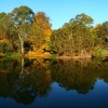 autumn_02