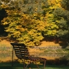 autumn_04