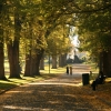 autumn_23