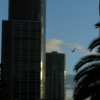 P6250363