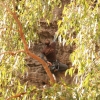 grampians_06