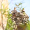 grampians_08