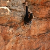 grampians_11