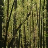 grampians_12