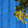 perth_15