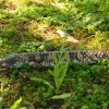 075_IMG_3689.jpg