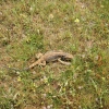 091_IMG_3742.jpg