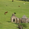 096_IMG_3757.jpg