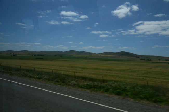 001_IMG_3807.jpg