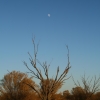 256_IMG_4514.jpg