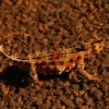 285_IMG_4591.jpg
