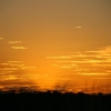 308_IMG_4682.jpg