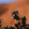334_IMG_4845.jpg