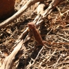 342_IMG_4876.jpg