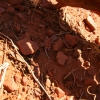 346_IMG_4892.jpg