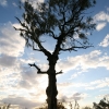 363_IMG_4940.jpg