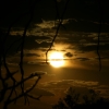 364_IMG_4951.jpg
