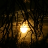 365_IMG_4956.jpg