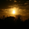 366_IMG_4958.jpg