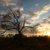 367_IMG_4967.jpg