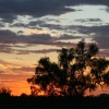 368_IMG_4985.jpg