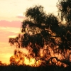 369_IMG_4988.jpg