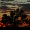 370_IMG_4992.jpg