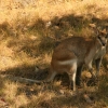 031_IMG_5211.jpg