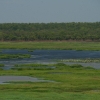 046_IMG_5241.jpg