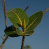 067_IMG_5311.jpg