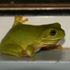 150_IMG_5665.jpg