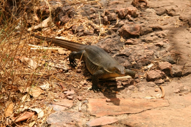 158_IMG_5684.jpg