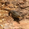 158_IMG_5684.jpg