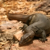 161_IMG_5693.jpg