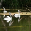 181_IMG_5799.jpg