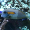 183_IMG_5811.jpg